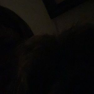 Meet your Posher, Aimee